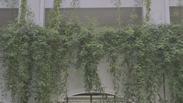 Lasenta Boutique Hotel Hoi An