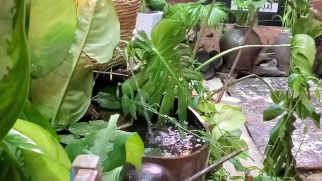 Spa An bàng beach Mimi spa