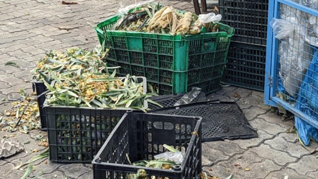 Early Morning Local Market