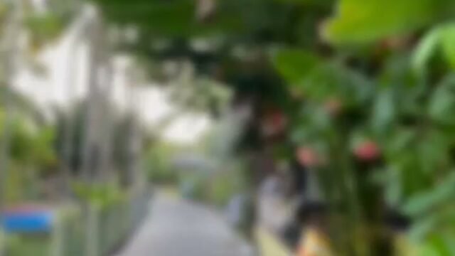 Hacoconut Coconut Basket Boat Tour Hoi An Coconut Village