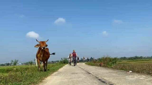 Hoi An Cycling