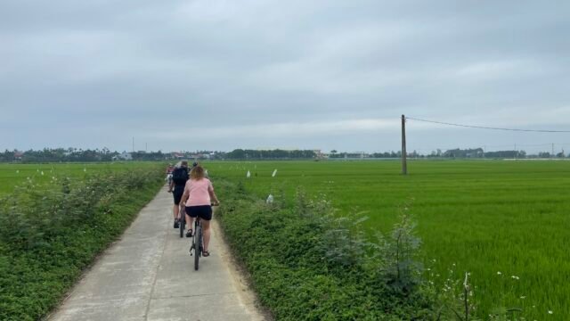Hoi An Cycling