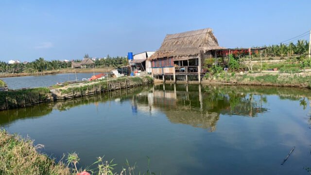 SUNRISE TOUR -Bicycle Tour Hoi An -Motorbike Tour & MY SON Tour