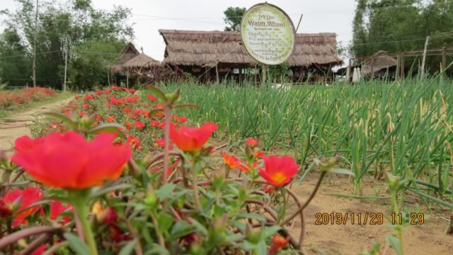 Tra Que Water Wheel Restaurant & Cooking classes