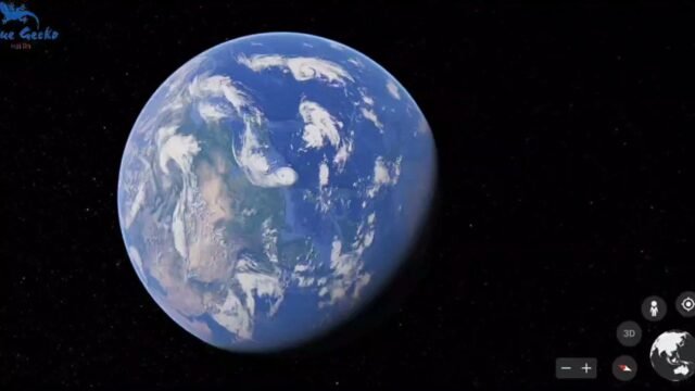 Blue Gecko Tailor Hoi An